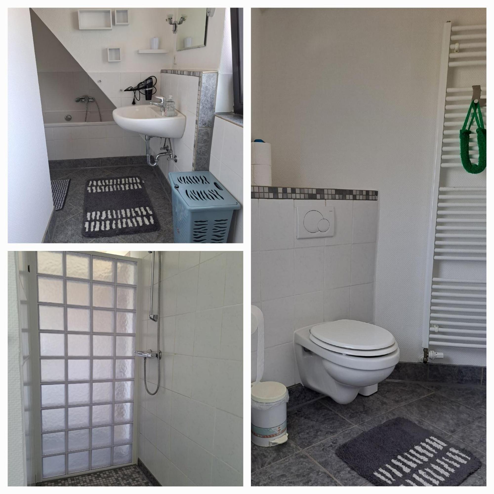 Appartement Am Mariental 11 à Hankensbuttel Extérieur photo